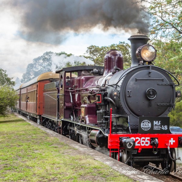 NSW Rail Museum Express