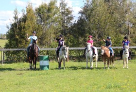 Hills and Hollows Horse Riding School