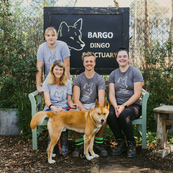 Dingo Sanctuary Bargo 1