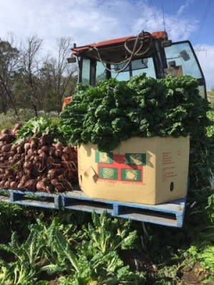 Mowbray Park Produce