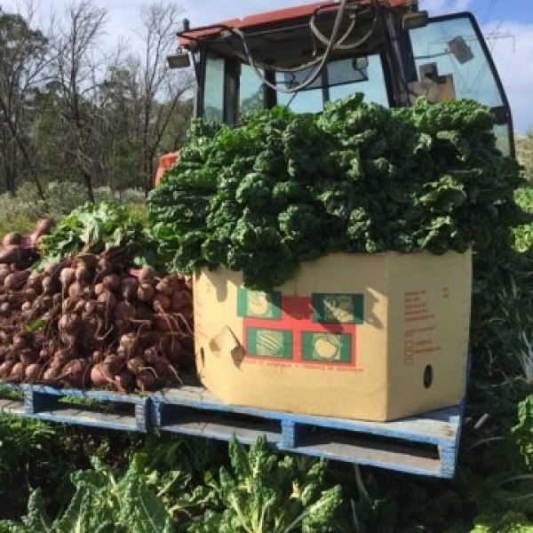 Local Wollondilly Farm