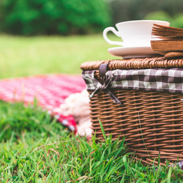 Picnic basket set on green green and gingham picnic rug