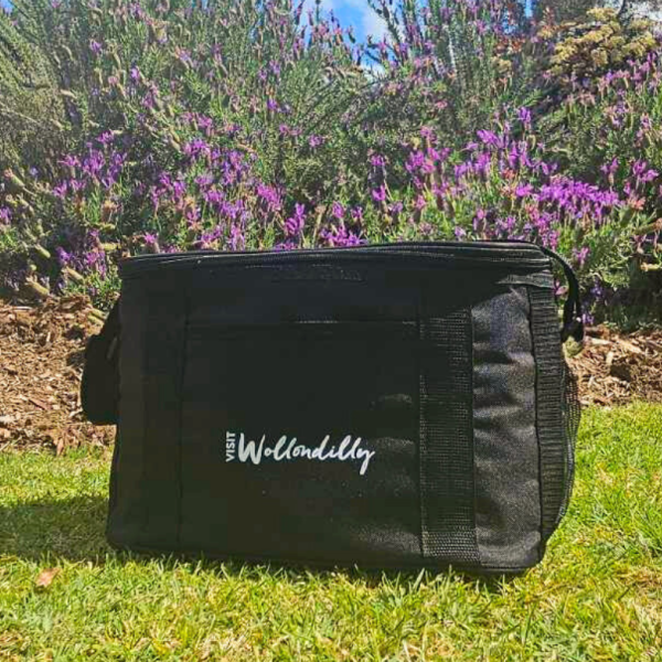 VW Cooler Bag