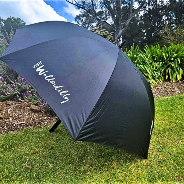 VW Umbrella