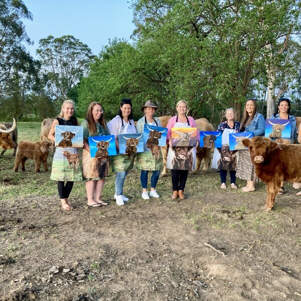 Bon Rean Highland Cows » Visit Wollondilly